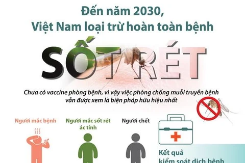 [Infographics] Việt Nam loại trừ hoàn toàn bệnh sốt rét vào năm 2030