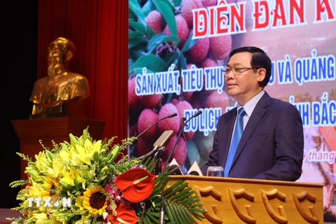 Phó Thủ tướng Vương Đình Huệ phát biểu tại diễn đàn. (Ảnh: Tùng Lâm/TTXVN)