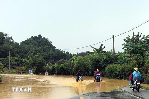 Quốc lộ 4A, Cao Bằng bị ngập úng do mưa lũ. (Ảnh: Quốc Đạt/TTXVN)