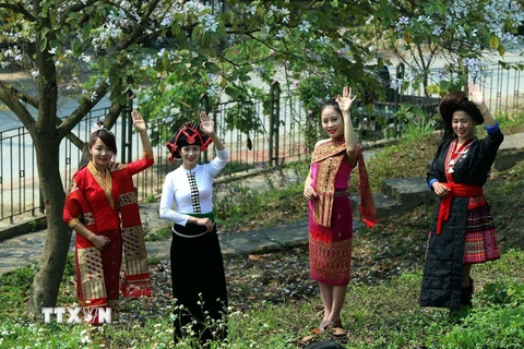 Vẻ đẹp của phụ nữ Thái nổi bật khi mặc trang phục truyền thống của dân tộc. (Ảnh: Phan Tuấn Anh/TTXVN)