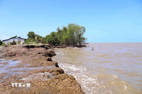Tuyến đê biển ở ấp Kim Qui, xã Vân Khánh bị sóng biển đánh trôi hồi đầu tháng 6/2019. (Ảnh: Vũ Sinh/TTXVN)