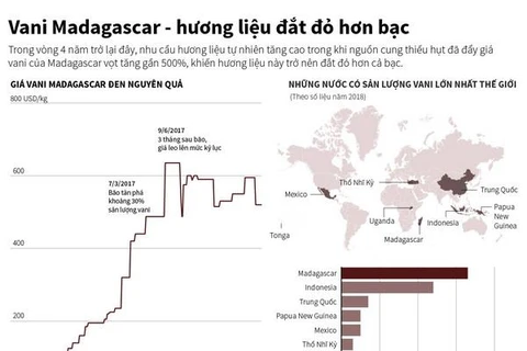 [Infographics] Vani Madagascar - hương liệu đắt đỏ hơn bạc