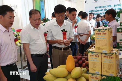 Các đại biểu tham quan gian hàng nông sản an toàn Sơn La. (Ảnh: Quang Duy/TTXVN)