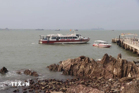 Tàu của Công ty Công ty cổ phần Song Ngư Sơn (thị xã Cửa Lò, tỉnh Nghệ An) đang chờ đón du khách đi tham quan trên biển và trên sông. (Ảnh : Nguyễn Văn Nhật/TTXVN)