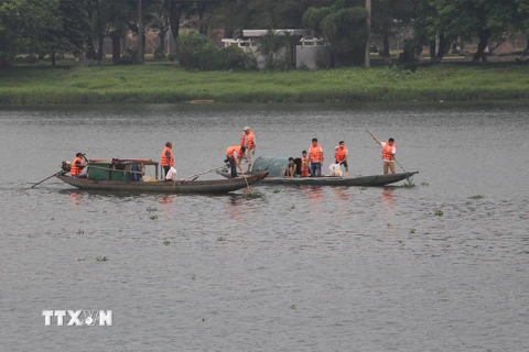 Người dân thành phố Huế tổ chức vớt bèo trên sông Hương trong phong trào Ngày Chủ nhật xanh. (Ảnh: Hồ Cầu/TTXVN)