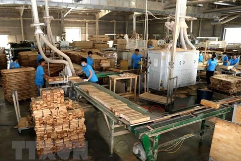 Sản xuất, chế biến gỗ tại Công ty trách nhiệm hữu hạn khai thác, chế biến lâm sản Đà Lạt (Lâm Đồng). (Ảnh: Vũ Sinh/T