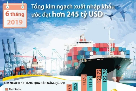 [Infographics] Tổng kim ngạch xuất nhập khẩu 6 tháng đạt 245 tỷ USD