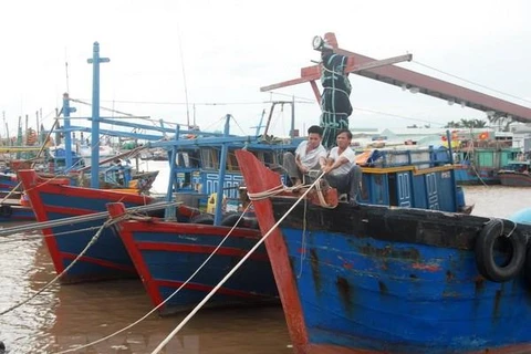 Ngư dân neo đậu tàu, thuyền để tránh bão. (Ảnh: Lâm Khánh/TTXVN) 