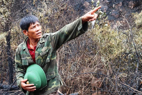 Ông Đậu Văn Tiến được ví như người hùng vì mở đường băng cản lửa cứu rừng. (Ảnh: Hoàng Ngà/TTXVN) 
