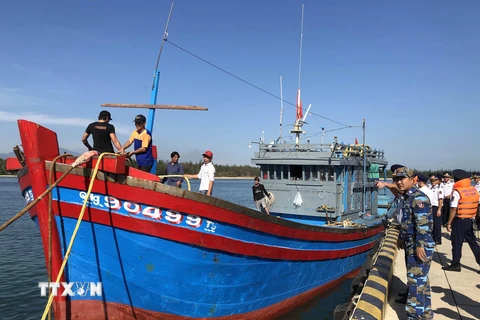Tàu cá QNg 90499TS gặp nạn trên vùng biển Hoàng Sa vào đất liền an toàn. (Ảnh: Trần Tĩnh/TTXVN)