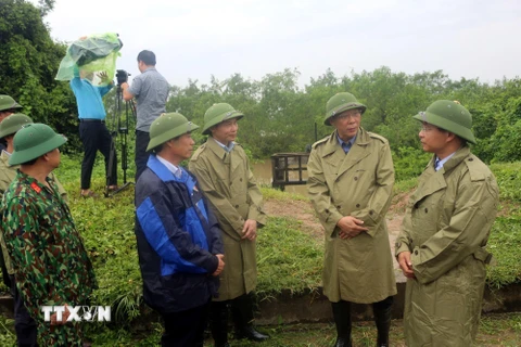 Ông Nguyễn Văn Thắng (bên phải), Chủ tịch UBND tỉnh Quảng Ninh kiểm tra công tác phòng chống bão số 3 tại tuyến đê xung yếu thị xã Quảng Yên. (Ảnh: Đức Hiếu/TTXVN)