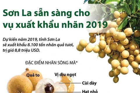 [Infographics] Sơn La sẵn sàng cho vụ xuất khẩu nhãn năm 2019