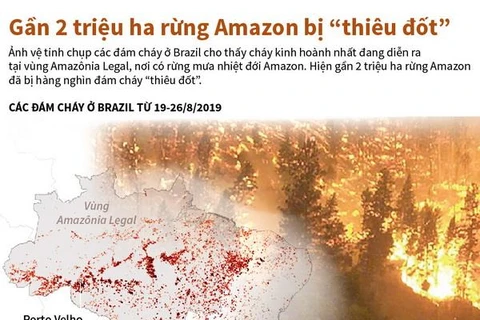 [Infographics] Gần 2 triệu hécta ở rừng Amazon bị “thiêu đốt”