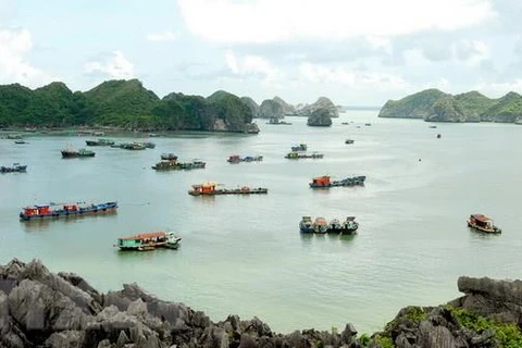 Tàu thuyền neo đậu trên vịnh Lan Hạ thuộc thị trấn Cát Bà. (Ảnh: Quang Quyết/TTXVN)
