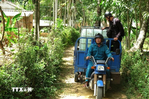 Hàng trăm hộ dân phải đi mua nước về dùng. (Ảnh: Phước Ngọc/TTXVN)