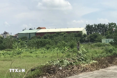 Công trình xây dựng trên đất nông nghiệp tại phường Thượng Thanh, quận Long Biên. (Ảnh: Mạnh Khánh/TTXVN)