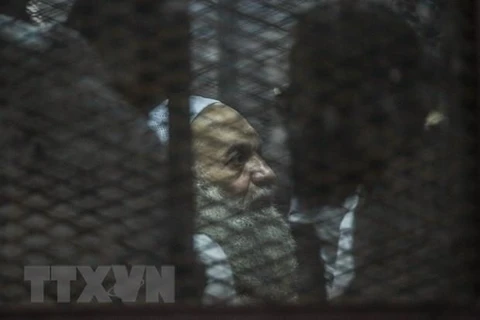 Một thành viên thuộc Tổ chức Anh em Hồi giáo tại phiên tòa ở thủ đô Cairo năm 2016. (Nguồn: AFP/TTXVN)