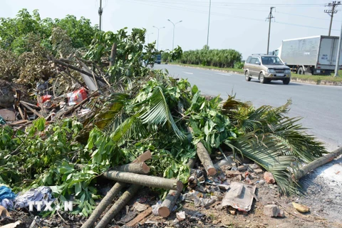 Vật liệu xây dựng, thủy tinh, rác thải sinh hoạt được đổ tràn lan trên tuyến đường tránh thành phố Nam Định. (Ảnh: Công Luật/TTXVN)