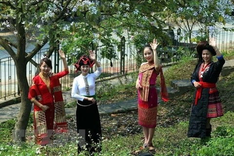 Phụ nữ dân tộc Thái. (Ảnh: Phan Tuấn Anh/TTXVN)