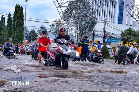 Đường Nguyễn Văn Cừ, quận Ninh Kiều bị ngập sâu, người dân vất vả khi di chuyển. (Ảnh: Thanh Liêm/TTXVN)