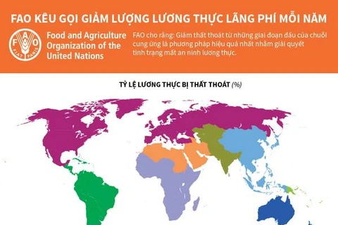 [Infographics] FAO kêu gọi giảm lượng lương thực lãng phí mỗi năm