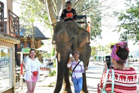 Du khách chụp ảnh kỷ niệm với voi tại khu du lịch Hồ Lắk. (Ảnh: Nguyễn Tuấn Anh/TTXVN)