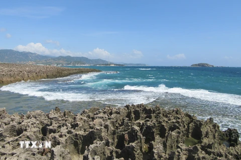 Rạn san hô cổ hóa thạch do sóng biển bào mòn tạo thành nhiều hình dáng lạ mắt. (Ảnh: Nguyễn Thành/TTXVN)