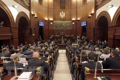 Một phiên họp Quốc hội Ai Cập. (Nguồn: AFP/TTXVN)