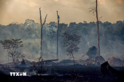Khói bốc lên từ đám cháy rừng Amazon ở Altamira, bang Para, Brazil, ngày 27/8/2019. (Ảnh: AFP/TTXVN)