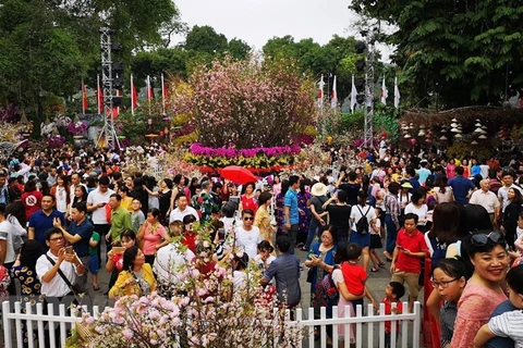 Người dân và du khách tham quan tại không gian lễ hội hoa Anh đào Nhật Bản-Hà Nội ngày 31/3/2019. Ảnh minh họa. (Ảnh: Thanh Tùng/TTXVN)