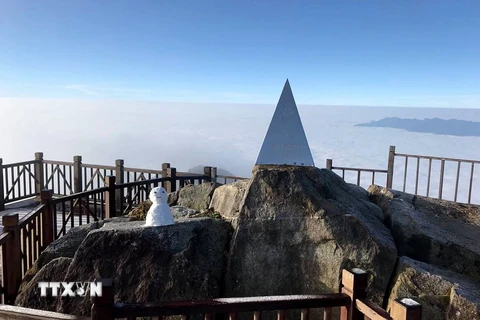 Sương muối phủ trắng trên đỉnh Fansipan. (Ảnh: Quốc Khánh/TTXVN)