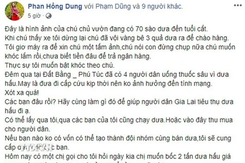Thông tin không đúng sự thật được đăng tải bởi tài khoản facebook Phan Hồng Dung. (Ảnh: Dư Toán/TTXVN)