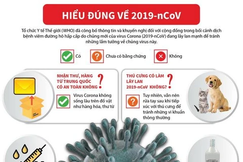 [Infographics] Hiểu đúng về 2019-nCoV theo khuyến nghị của WHO