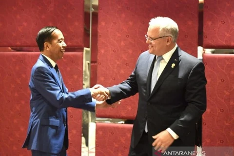 Tổng thống Indonesia Joko Widodo (trái) và Thủ tướng Australia Scott Morrison (phải) tại một cuộc họp bên lề Hội nghị thượng đỉnh ASEAN lần thứ 35 tại Bangkok, Thái Lan, ngày 4/11/2019. (Nguồn: antaranews.com) 