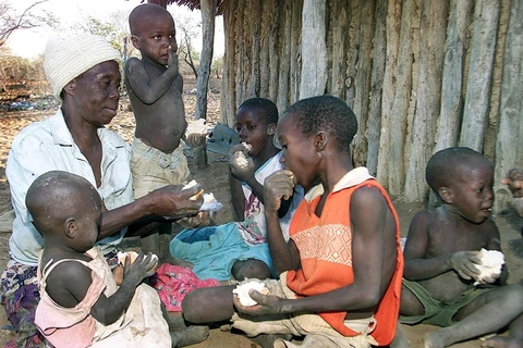 Phân phát khẩu phần ăn bánh mỳ cứu trợ của WFP tại một gia đình ở Binga, Zimbabwe. (Ảnh: AFP/TTXVN)