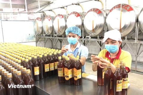 Sản xuất mật ong tại công ty cổ phần đầu tư tập đoàn Xuân Nguyên. (Ảnh: Mỹ Phương/Vietnam+)