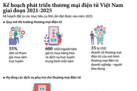 Phát triển thương mại điện tử Việt Nam giai đoạn 2021-2025