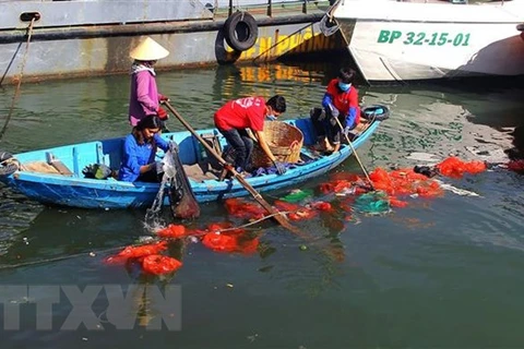 Thu gom rác thải nhựa trên mặt biển vùng khu vực cảng Quy Nhơn, tỉnh Bình Định. (Ảnh: Nguyên Linh/TTXVN