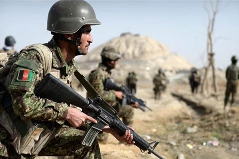Lực lượng an ninh Afghanistan trong một chiến dịch truy quét. (Nguồn: alwaght.com)