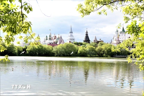 Hải âu và vịt trời trong công viên Bảo tàng-Điền trang Izmailovo, nhìn sang bên là khu Kremlin ở Izmailovo làm bằng gỗ. (Ảnh: Duy Trinh/TTXVN) 