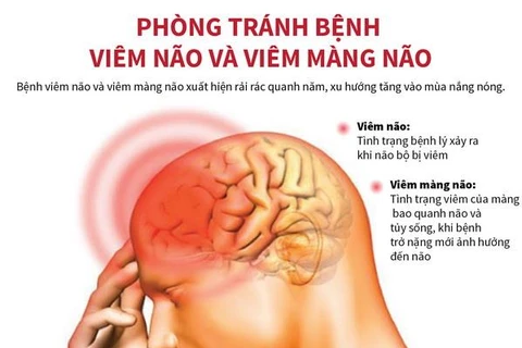 [Infographics] Phòng tránh bệnh viêm não và viêm màng não