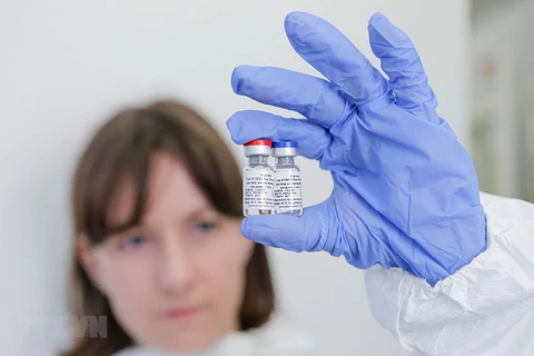 Vắcxin phòng COVID-19 do Trung tâm Nghiên cứu quốc gia về dịch tễ học và vi sinh vật Gamaley phát triển, được giới thiệu ngày 6/8/2020. (Nguồn: AFP/TTXVN)