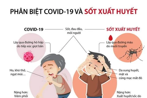 [Infographics] Phân biệt COVID-19 và bệnh sốt xuất huyết