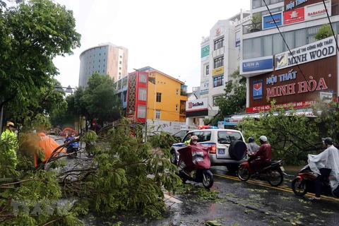 Bão số 5 đổ bộ làm gẫy đổ nhiều cây xanh, cột điện tại thành phố Huế. (Ảnh: Đỗ Trưởng/TTXVN) 