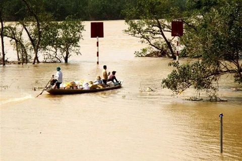 Các đoàn cứu trợ tập trung đưa những mặt hàng thiết yếu đến vùng bị nước lũ cô lập ở các xã của huyện Quảng Ninh, tỉnh Quảng Bình. (Ảnh: Văn Tý/TTXVN) 