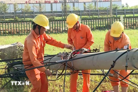 Công nhân Công ty Điện lực Quảng Nam tập trung khắc phục lưới điện sau bão số 9. (Ảnh: Trần Tĩnh/TTXVN)