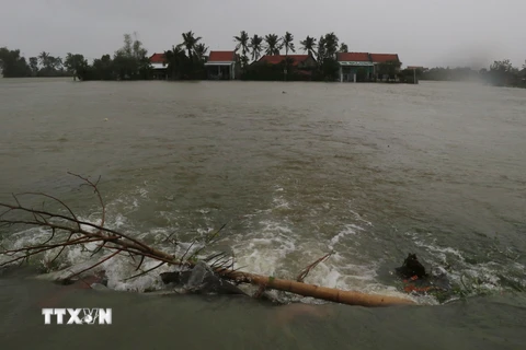 Nước lũ dâng cao gây ngập úng ảnh hưởng đến nhà ở của 300 hộ dân huyện Tây Hòa. (Ảnh: Phạm Cường-Xuân Triệu/TTXVN) 