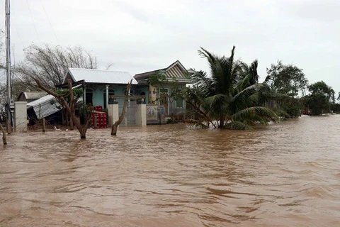 Nhiều xã ở huyện Quảng Điền bị ngập lụt sâu, trên diện rộng. (Ảnh: Đỗ Trưởng/TTXVN)