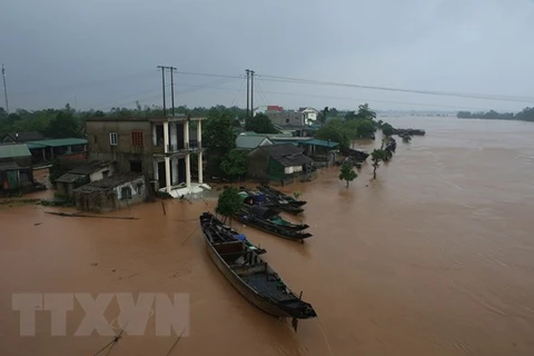 Nhà dân ở hai bên bờ sông Thạch Hãn bị ngập lụt. (Ảnh: Hồ Cầu/TTXVN)