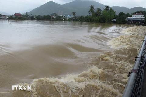 Nước lũ đổ về sông Cái, tỉnh Khánh Hòa. (Ảnh: Phan Sáu/TTXVN)